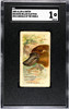1888 N25 Allen & Ginter Duck-Billed Platypus SGC 1 front of card