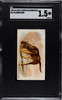 1890 N21 Allen & Ginter Bloodhound 50 Quadrupeds SGC 1.5 front of card