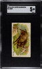 1890 N21 Allen & Ginter Boar 50 Quadrupeds SGC 5 front of card