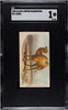1890 N21 Allen & Ginter Camel 50 Quadrupeds SGC 1 front of card