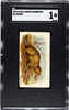 1890 N21 Allen & Ginter Beaver 50 Quadrupeds SGC 1 front of card