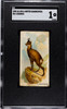 1890 N21 Allen & Ginter Chamois 50 Quadrupeds SGC 1 front of card