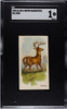 1890 N21 Allen & Ginter Deer 50 Quadrupeds SGC 1 front of card