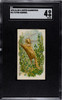 1890 N21 Allen & Ginter Flying Squirrel 50 Quadrupeds SGC 4 front of card