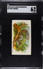 1890 N21 Allen & Ginter Grey Squirrel 50 Quadrupeds SGC 6 front of card