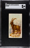 1890 N21 Allen & Ginter Ibex 50 Quadrupeds SGC 5 front of card