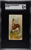 1890 N21 Allen & Ginter Llama 50 Quadrupeds SGC 1 front of card