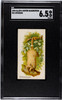 1890 N21 Allen & Ginter Opossum 50 Quadrupeds SGC 6.5 front of card