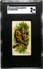 1890 N21 Allen & Ginter Orangoutang 50 Quadrupeds SGC 2 front of card