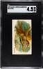 1890 N21 Allen & Ginter Otter 50 Quadrupeds SGC 4.5 front of card