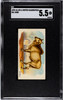 1890 N21 Allen & Ginter Zebu 50 Quadrupeds SGC 5.5 front of card