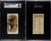 1890 N21 Allen & Ginter Elephant 50 Quadrupeds SGC 3 front and back of card