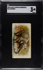 1890 N21 Allen & Ginter Elephant 50 Quadrupeds SGC 3 front of card