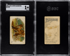 1890 N21 Allen & Ginter Fox 50 Quadrupeds SGC 1 front and back of card