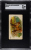 1890 N21 Allen & Ginter Fox 50 Quadrupeds SGC 1 front of card