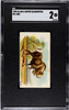 1890 N21 Allen & Ginter Gnu 50 Quadrupeds SGC 2 front of card