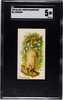 1890 N21 Allen & Ginter Opossum 50 Quadrupeds SGC 5 front of card