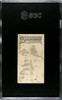 1890 N21 Allen & Ginter Boar 50 Quadrupeds SGC 1 back of card