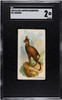 1890 N21 Allen & Ginter Chamois 50 Quadrupeds SGC 2 front of card
