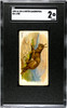 1890 N21 Allen & Ginter Lynx 50 Quadrupeds SGC 2 front of card