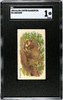 1890 N21 Allen & Ginter Raccoon 50 Quadrupeds SGC 1 front of card