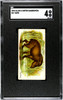 1890 N21 Allen & Ginter Tapir 50 Quadrupeds SGC 4 front of card