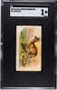 1890 N21 Allen & Ginter Antelope 50 Quadrupeds SGC 1 front of card