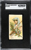 1891 N12 Allen & Ginter Lotus Fruits SGC A front of card
