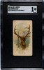 1888 N25 Allen & Ginter American Elk Wild Animals of the World SGC 1 front of card