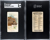 1888 N25 Allen & Ginter Grizzly Bear Wild Animals of the World SGC 1 front and back of card