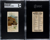 1888 N25 Allen & Ginter Grizzly Bear Wild Animals of the World SGC 1 front and back of card