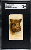 1888 N25 Allen & Ginter Wild Boar Wild Animals of the World SGC 1 front of card