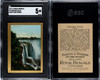 1911 T99 Royal Bengals Cigars Niagara Falls Sights and Scenes SGC 5 front and back of card