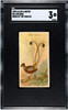 1889 N5 Allen & Ginter Lyre Bird Birds of the Tropics SGC 3 front of card