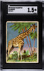 1909 T29 Hassan Cigarettes Giraffe SGC 1.5 front of card