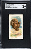 1888 N25 Allen & Ginter Hyena Wild Animals of the World SGC 1 front of card