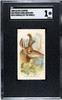 1888 N25 Allen & Ginter Prong-horn Antelope Wild Animals of the World SGC 1 front of card