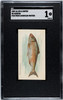 1889 N8 Allen & Ginter Herring Fish From American Waters SGC 1 front of card