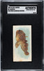 1889 N8 Allen & Ginter Toadfish Fish From American Waters SGC A front of card