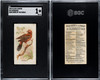 1890 N23 Allen & Ginter Amandava Song Birds of the World SGC 1 front and back of card