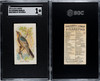 1890 N23 Allen & Ginter Audubons Warbler Song Birds of the World SGC 1 front and back of card