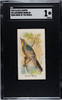 1890 N23 Allen & Ginter Audubons Warbler Song Birds of the World SGC 1 front of card