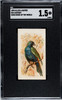 1890 N23 Allen & Ginter Azuvert Song Birds of the World SGC 1.5 front of card