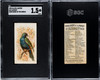 1890 N23 Allen & Ginter Azuvert Song Birds of the World SGC 1.5 front and back of card