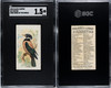 1890 N23 Allen & Ginter Pastor Song Birds of the World SGC 1.5 front and back of card