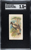 1890 N23 Allen & Ginter Piping Crow-Shrike Song Birds of the World SGC 1.5 front of card