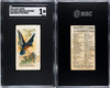1890 N23 Allen & Ginter Purple-Breasted Chatterer Song Birds of the World SGC 1 front and back of card