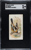 1890 N23 Allen & Ginter Troupial Song Birds of the World SGC 1 front of card