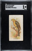 1890 N23 Allen & Ginter Yellow-head Song Birds of the World SGC 1 front of card