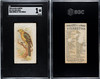 1890 N23 Allen & Ginter Yellow-head Song Birds of the World SGC 1 front and back of card